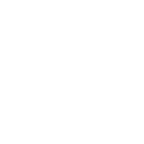 Professionelle Reinigung von Stein- und Terrassenflächen